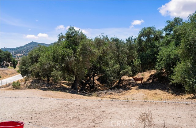 Detail Gallery Image 48 of 48 For 6870 Long Canyon Rd, Santa Maria,  CA 93454 - 3 Beds | 2 Baths