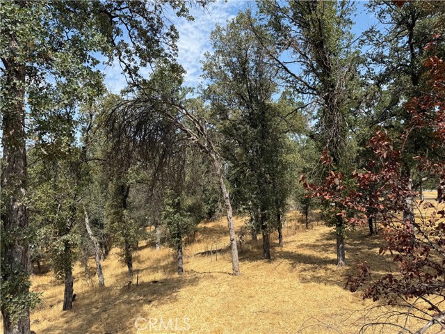 Detail Gallery Image 19 of 21 For 16185 16125 Caribou, Cottonwood,  CA 96022 - 3 Beds | 2 Baths