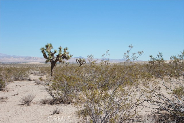 Detail Gallery Image 61 of 71 For 769 Meridian Rd, Lucerne Valley,  CA 92356 - – Beds | – Baths