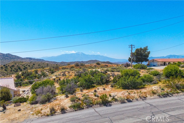 Front Image Thumbnail for CROC26057333