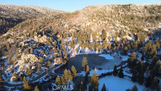 Detail Gallery Image 11 of 42 For 32765 Cougar, Arrowbear,  CA 92382 - 3 Beds | 1 Baths