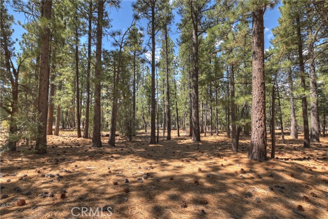 Detail Gallery Image 12 of 15 For 2001 State Ln, Big Bear City,  CA 92314 - – Beds | – Baths