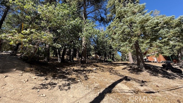 33112 Juniper Lane, Green Valley Lake CA: https://media.crmls.org/medias/a8e45c11-a586-446e-9d25-ca36d4f55f96.jpg