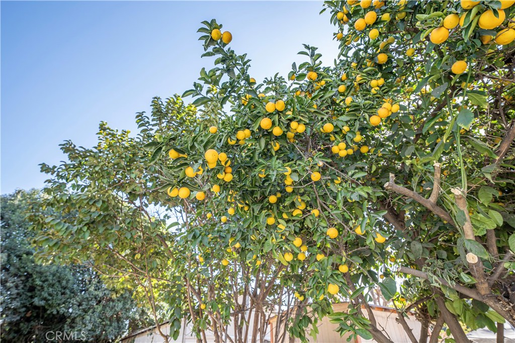https://media.crmls.org/medias/a8ea9188-8e9c-4813-bb00-cb0aec06514b.jpg?preset=X-Large