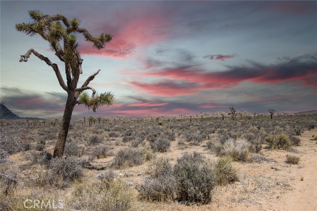 Detail Gallery Image 1 of 10 For 59190 Barron Drive, Yucca Valley,  CA 92284 - – Beds | – Baths