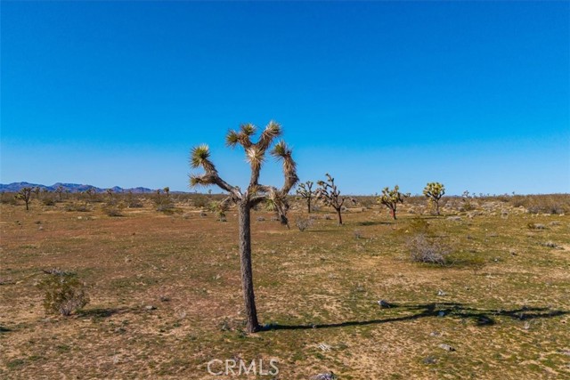 Detail Gallery Image 38 of 45 For 58459 Starlight Mesa Rd, Yucca Valley,  CA 92284 - – Beds | – Baths