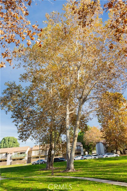 Detail Gallery Image 45 of 55 For 1219 N Edwards St #33,  Redlands,  CA 92374 - 2 Beds | 1 Baths