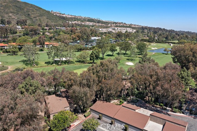 31313 E Nine Drive, Laguna Niguel CA: https://media.crmls.org/medias/a8fcc1a2-9b6d-420a-a37c-af8dd969fa87.jpg