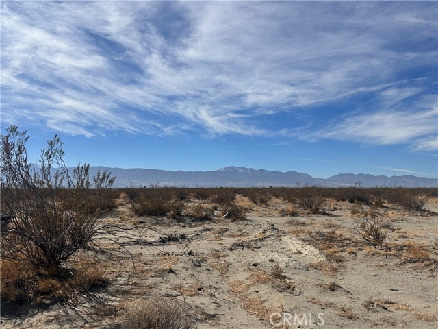 Front Image Thumbnail for CROC25242956