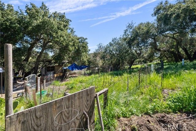 Detail Gallery Image 45 of 55 For 971 Canyon Ridge Rd, Solvang,  CA 93463 - 4 Beds | 2/1 Baths