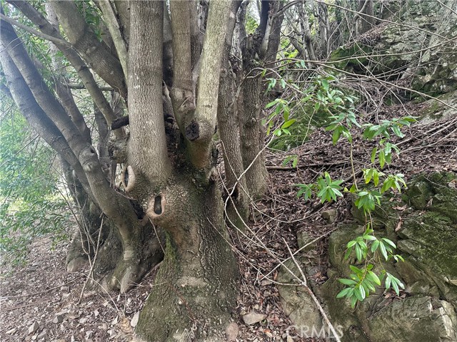 Detail Gallery Image 8 of 13 For 9000 Scotts Valley Rd, Upper Lake,  CA 95485 - – Beds | – Baths