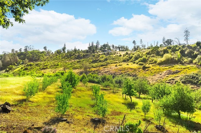 Detail Gallery Image 49 of 58 For 814 Natures Way, Paradise,  CA 95969 - 2 Beds | 2/1 Baths