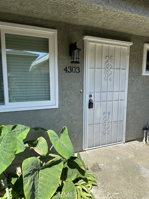 Front Image Thumbnail for CRPW25252522