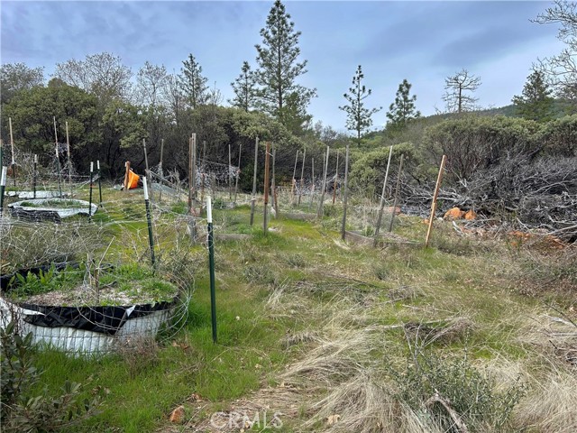 Detail Gallery Image 4 of 13 For 0 Top View Ct, Oroville,  CA 95966 - – Beds | – Baths