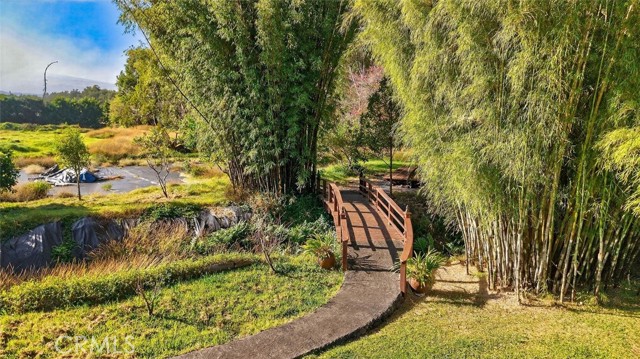 Detail Gallery Image 11 of 22 For 64645 Mamalahoa Hwy, –,  CA 96743 - 4 Beds | 2 Baths