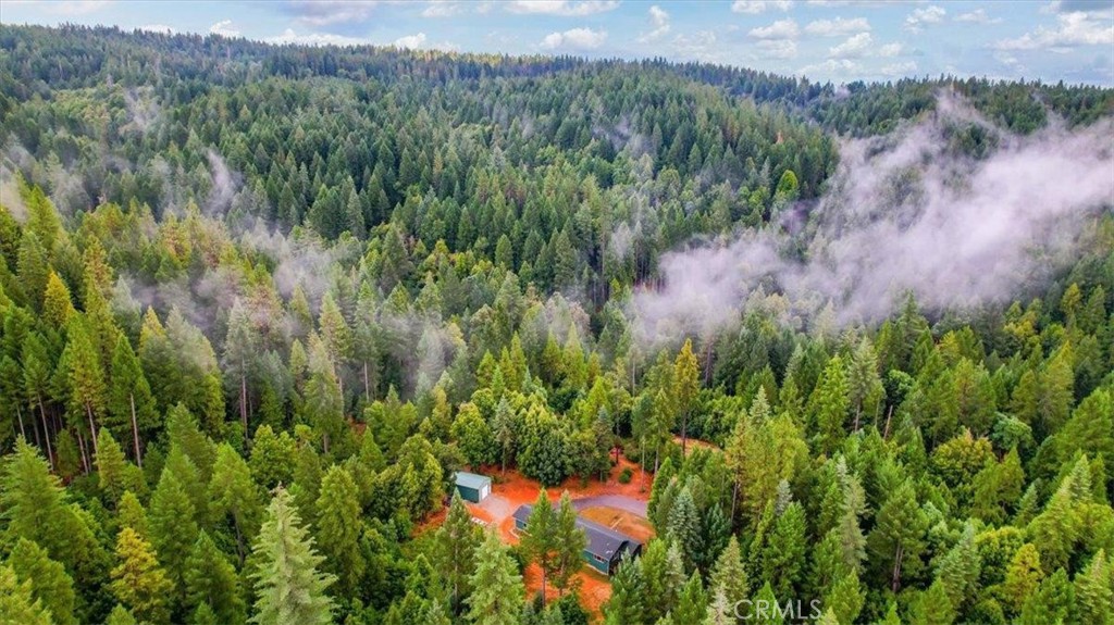 A9154886 A3F1 4A87 9A59 Ffdf00D2114F 15721 Norcrest Ln, Camptonville, Ca 95922 &Lt;Span Style='BackgroundColor:transparent;Padding:0Px;'&Gt; &Lt;Small&Gt; &Lt;I&Gt; &Lt;/I&Gt; &Lt;/Small&Gt;&Lt;/Span&Gt;