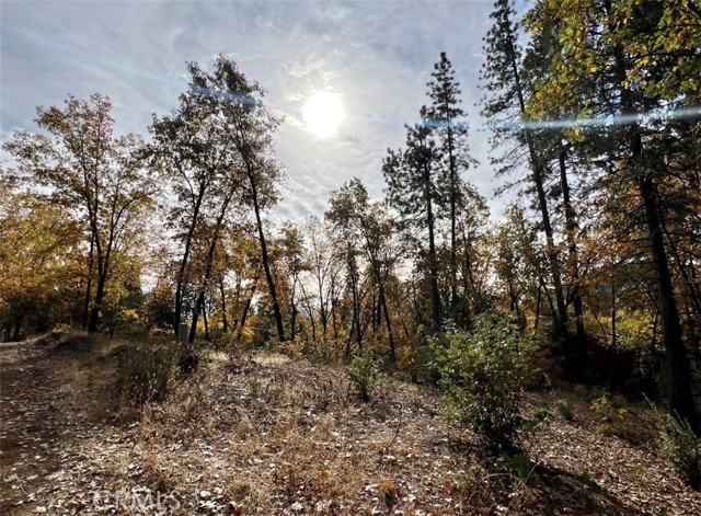 Detail Gallery Image 7 of 8 For 54692 Bluegill, Bass Lake,  CA 93604 - – Beds | – Baths