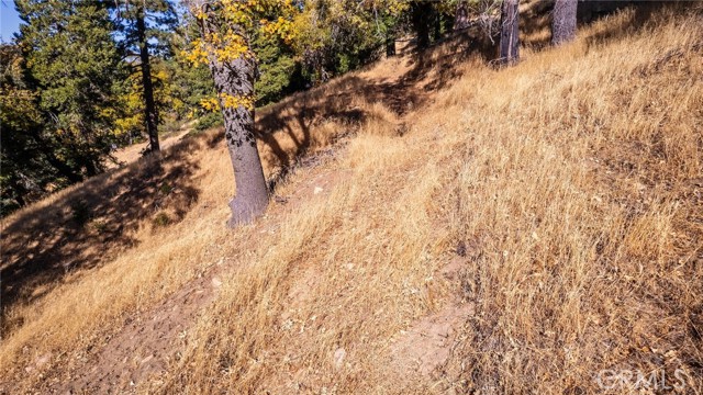 Detail Gallery Image 16 of 40 For 0 Mojave River Rd, Cedarpines Park,  CA 92322 - – Beds | – Baths