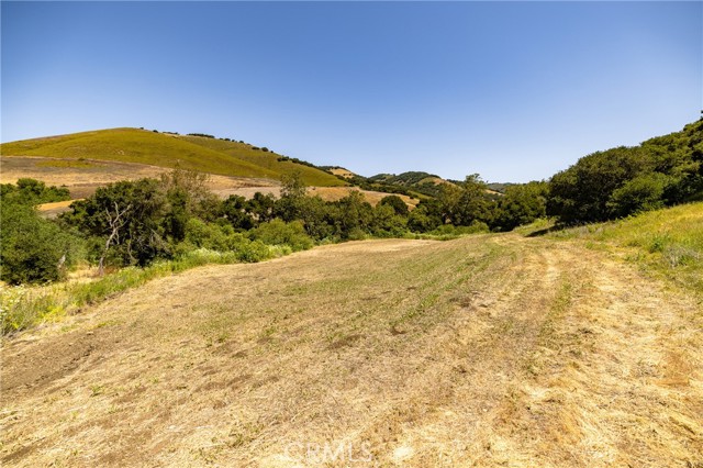 680 Spring Canyon Lane, Nipomo CA: https://media.crmls.org/medias/a91f9dee-f956-4358-b9c6-56fdd9597617.jpg