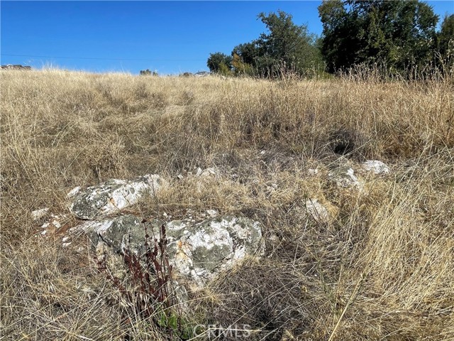 Detail Gallery Image 3 of 17 For 0 Bryden Way, Oroville,  CA 95966 - – Beds | – Baths