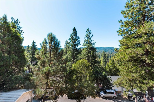 Detail Gallery Image 20 of 24 For 23034 Cedar Way, Crestline,  CA 92325 - 2 Beds | 1/2 Baths