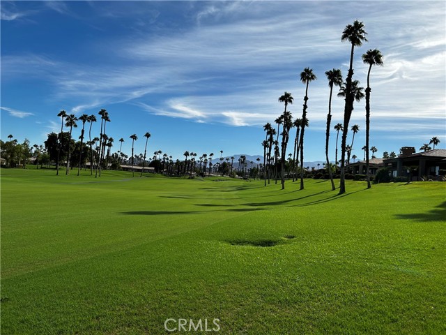 Detail Gallery Image 10 of 59 For 38824 Gladiolus Ln, Palm Desert,  CA 92211 - 2 Beds | 2 Baths