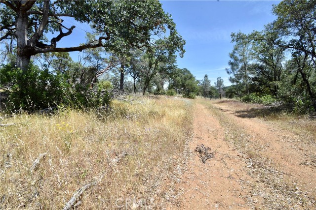 0 Mackey Court, Oroville CA: https://media.crmls.org/medias/a93147ca-2b05-4d4f-b4e7-e80b5d7ab354.jpg