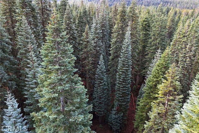 Detail Gallery Image 5 of 14 For 1100 Cleghorn Dr, Quincy,  CA 95971 - – Beds | – Baths