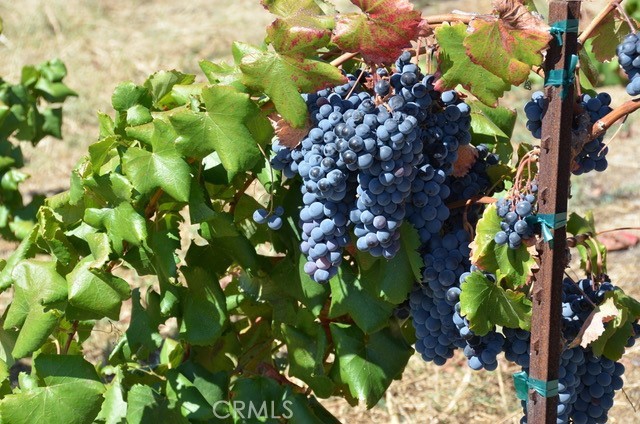 Detail Gallery Image 70 of 72 For 41570 Avenida Bordeaux, Temecula,  CA 92592 - 6 Beds | 4/1 Baths