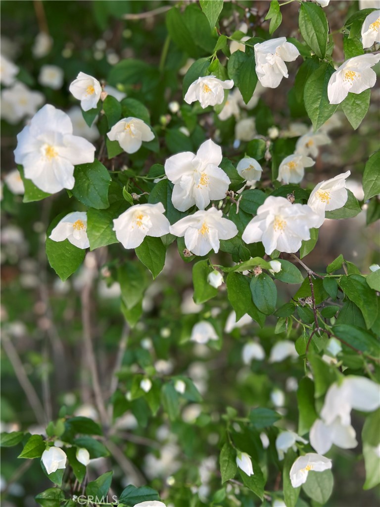 https://media.crmls.org/medias/a93fa593-756f-4707-a6fa-9fe58f238fa8.jpg?preset=X-Large
