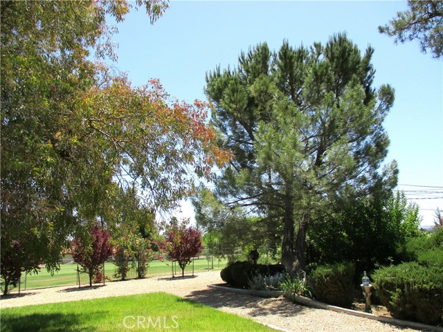 Detail Gallery Image 24 of 34 For 1523 Country Club Dr, Paso Robles,  CA 93446 - 3 Beds | 2 Baths