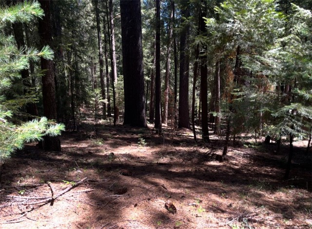 Image 2 of 5 For 14887 Hickok Ct