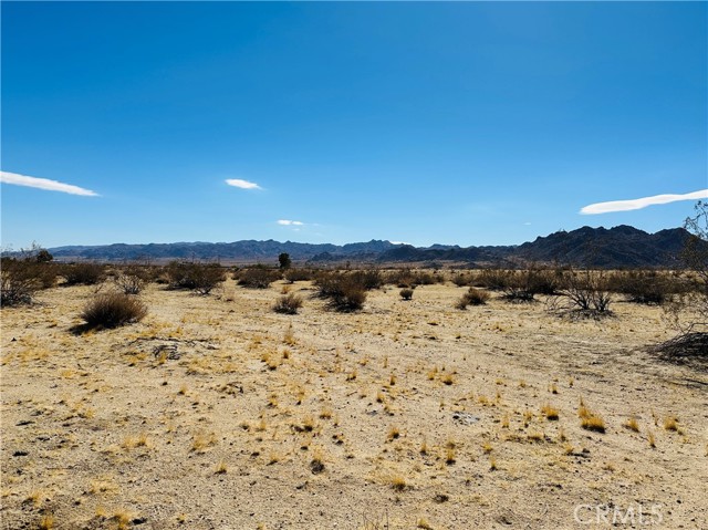 Detail Gallery Image 4 of 9 For 5 Border Ave, Joshua Tree,  CA 92252 - – Beds | – Baths