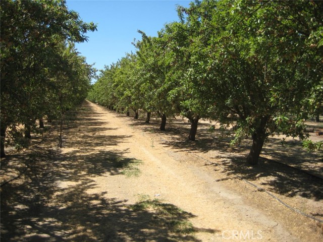 Detail Gallery Image 11 of 11 For 7945 Rose Ave, Atwater,  CA 95301 - – Beds | – Baths