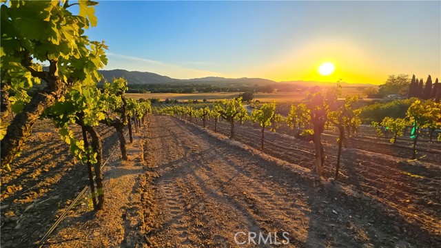 7110 Drake Road, Paso Robles CA: https://media.crmls.org/medias/a9588348-361d-4f77-82a1-51091386eaa8.jpg