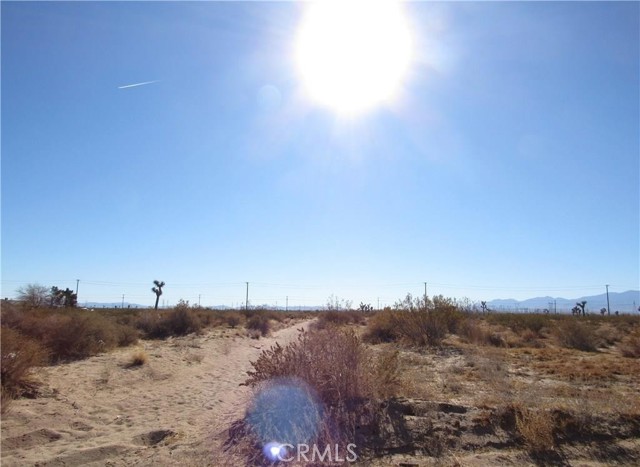 Front Image Thumbnail for CRIG26062252