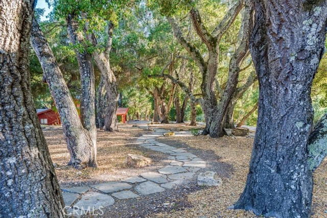 Detail Gallery Image 41 of 67 For 3210 Cloudy Meadow Rd, Templeton,  CA 93465 - 4 Beds | 4/1 Baths