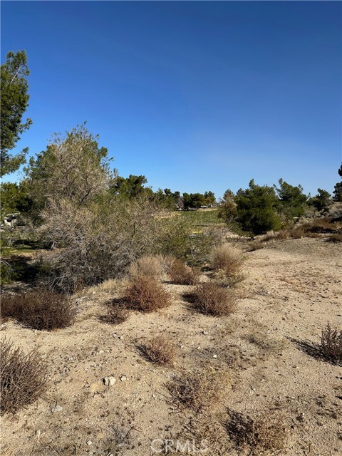 0 Camelback Drive, Victorville, California 92395, ,Land,For Sale,0 Camelback Drive,CRSB23213632