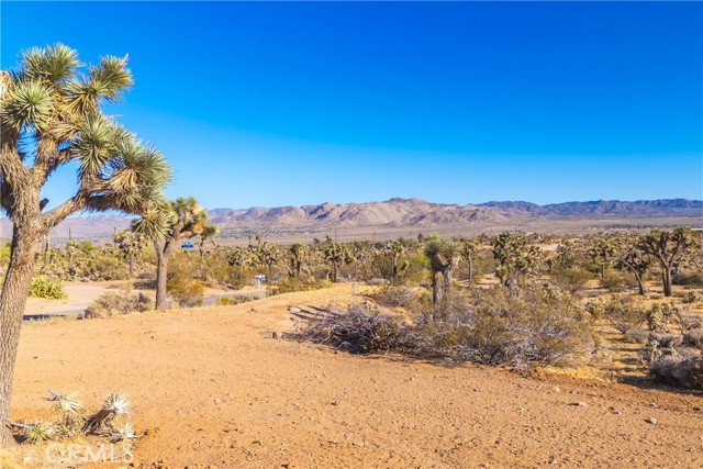 Detail Gallery Image 45 of 75 For 58871 Meredith Ct, Yucca Valley,  CA 92284 - 3 Beds | 2 Baths