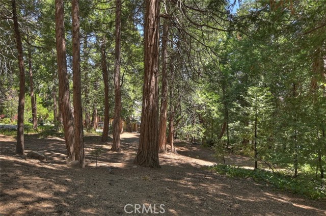 Detail Gallery Image 35 of 40 For 781 Nadelhorn Dr, Lake Arrowhead,  CA 92352 - 4 Beds | 2 Baths
