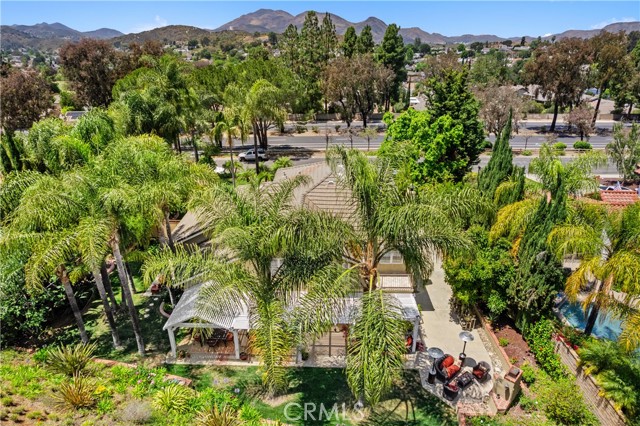 822 Spring Canyon Place photo 64