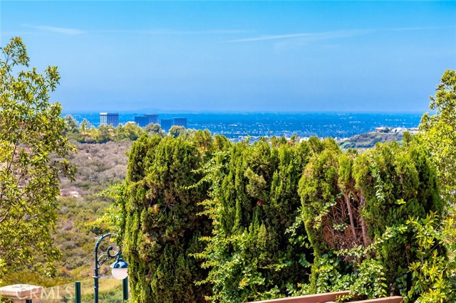 Detail Gallery Image 29 of 49 For 17 via Palladio, Newport Coast,  CA 92657 - 5 Beds | 5/1 Baths