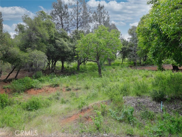 Detail Gallery Image 1 of 11 For 3218 Skyline Dr, Kelseyville,  CA 95451 - – Beds | – Baths