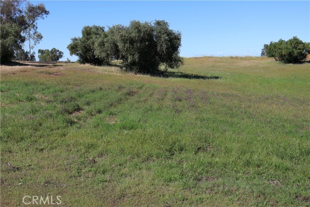 Detail Gallery Image 23 of 32 For 0 Carona Ave., Corning,  CA 96021 - – Beds | – Baths