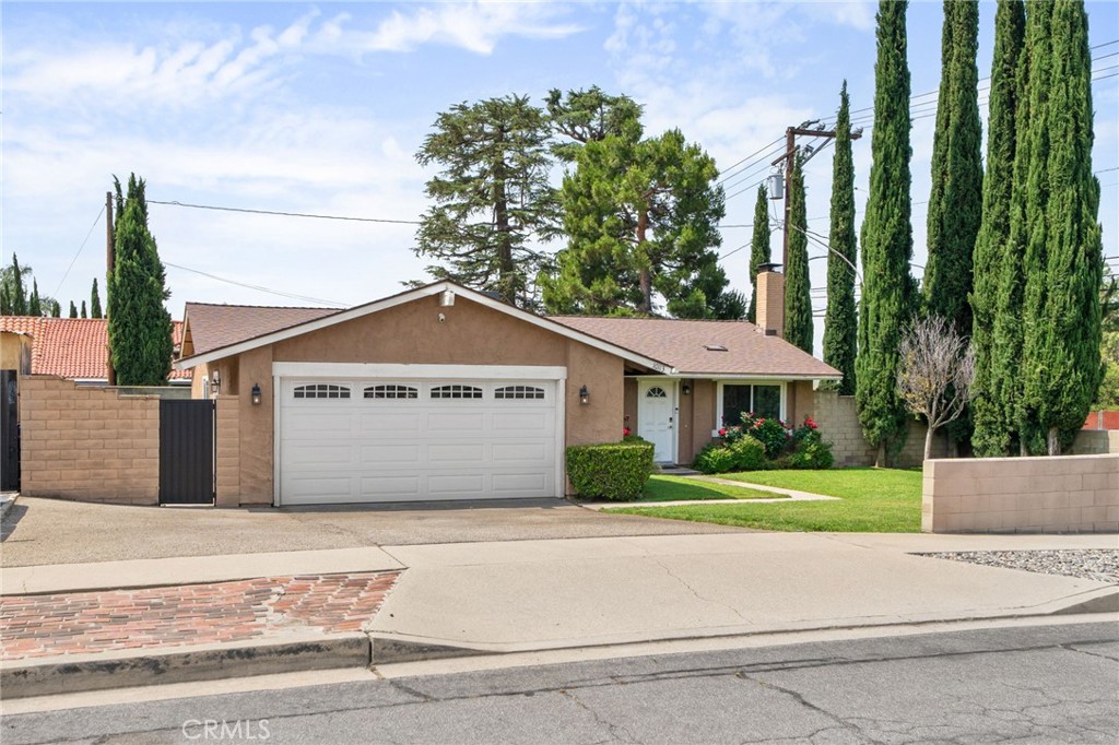 10113 Hemlock Street