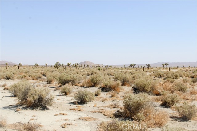 Detail Gallery Image 11 of 14 For 4 Ac Markham Ave, El Mirage,  CA 92301 - – Beds | – Baths