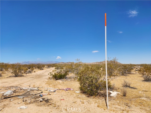 Detail Gallery Image 6 of 9 For 40 Ac Joshua Tree, Joshua Tree,  CA 92252 - – Beds | – Baths