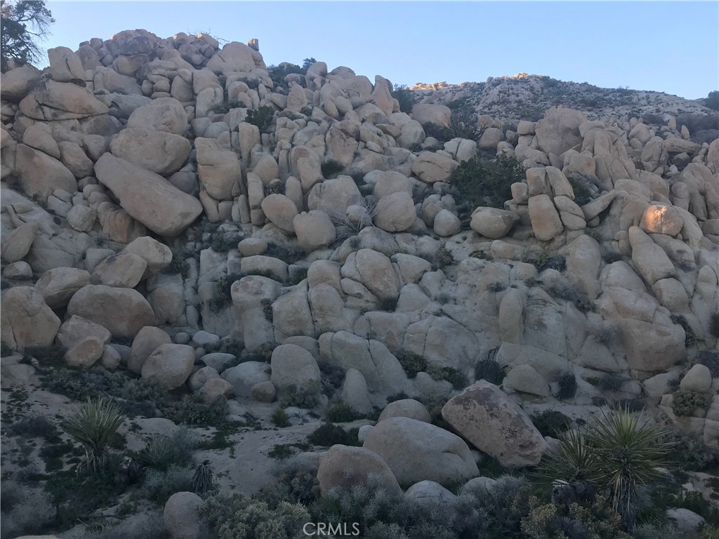 https://media.crmls.org/medias/a986e2a9-0f8e-4a5c-8628-5b00b2849354.jpg?preset=X-Large