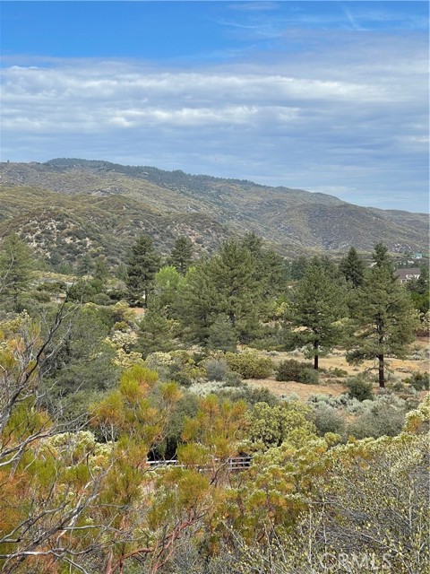 2 Goldshot Creek Road, Mountain Center, California 92561, ,Land,For Sale,2 Goldshot Creek Road,CRSW22171999