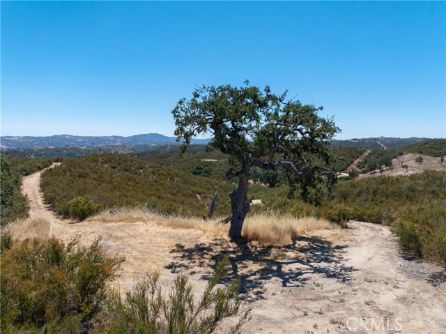 Detail Gallery Image 19 of 23 For 5450 Calf Canyon Hwy, Creston,  CA 93432 - 3 Beds | 2 Baths